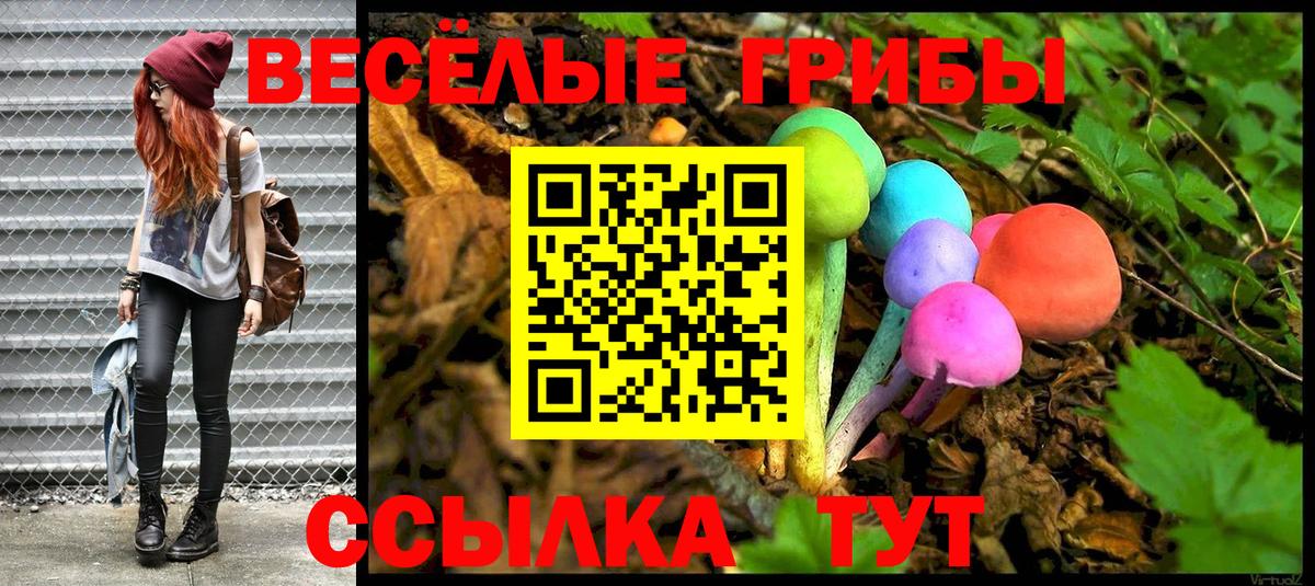 Псилоцибиновые грибы Cubensis Магнитогорск